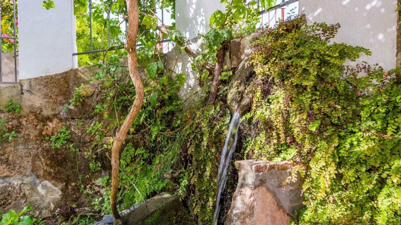 Villa Molino Maroto Alhaurin El Grande By Ruralidays Exterior foto